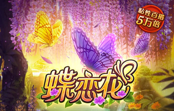 66865体育官网下载